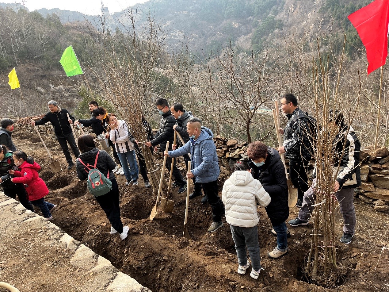 植一片绿色 守护绿水青山 —— 北京康茂峰开展志愿者植树活动