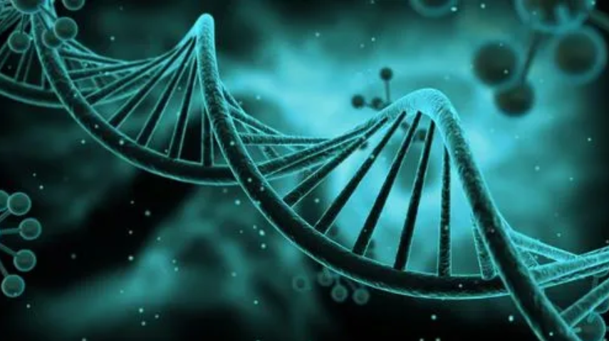 生物技术翻译需要关注哪些要点？